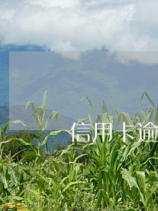 信用卡逾期了会扣普卡的钱吗 信用卡逾期了会扣普卡的钱吗