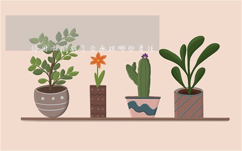 信用卡逾期了会承担哪些责任 信用卡逾期了会承担哪些责任