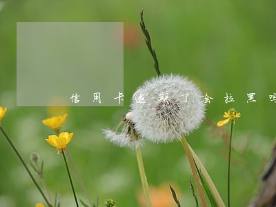 信用卡逾期了会拉黑吗