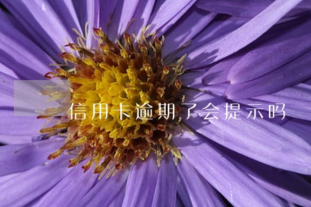 信用卡逾期了会提示吗