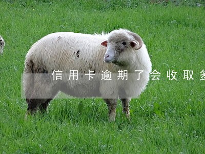 信用卡逾期了会收取多少违约金 信用卡逾期了会收取多少违约金