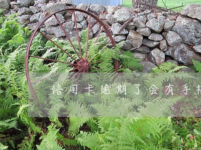 信用卡逾期了会有手机号打电话吗 信用卡逾期了会有手机号打电话吗
