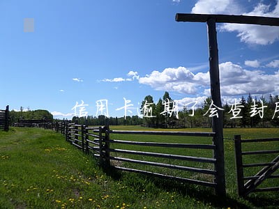 信用卡逾期了会查封房产吗