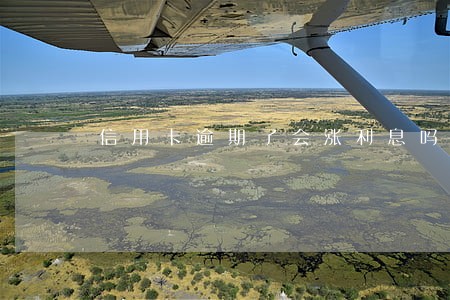 信用卡逾期了会涨利息吗 信用卡逾期了会涨利息吗