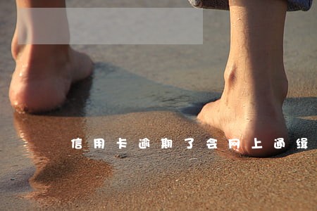 信用卡逾期了会网上通缉吗 信用卡逾期了会网上通缉吗