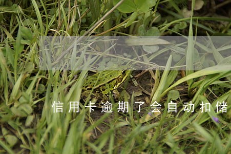 信用卡逾期了会自动扣储蓄卡吗