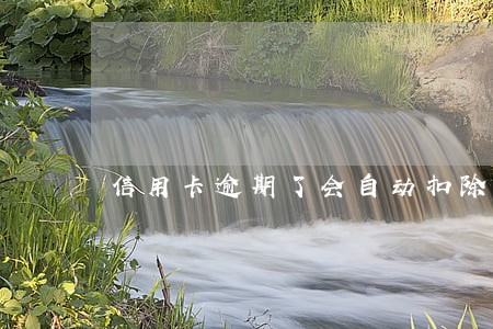 信用卡逾期了会自动扣除吗