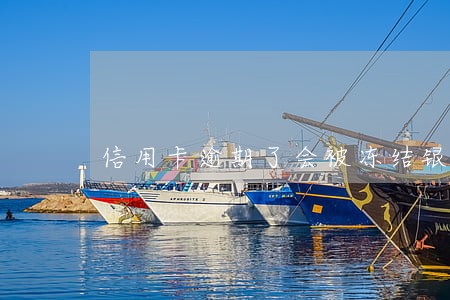 信用卡逾期了会被冻结银行卡吗 信用卡逾期了会被冻结银行卡吗