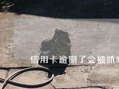信用卡逾期了会被抓吗 信用卡逾期了会被抓吗