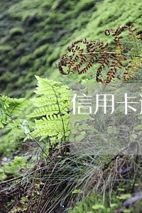 信用卡逾期了会销卡吗