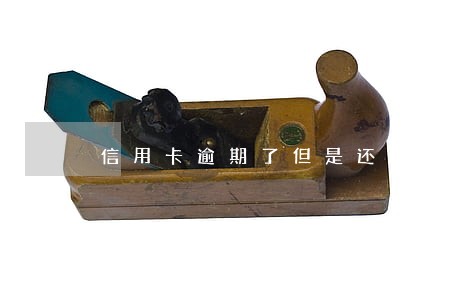 信用卡逾期了但是还了一部分