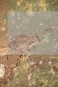 信用卡逾期了但有还款意愿 信用卡逾期了但有还款意愿