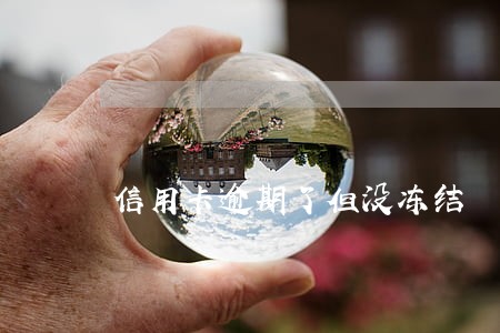 信用卡逾期了但没冻结 信用卡逾期了但没冻结