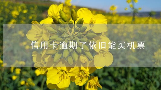 信用卡逾期了依旧能买机票 信用卡逾期了依旧能买机票