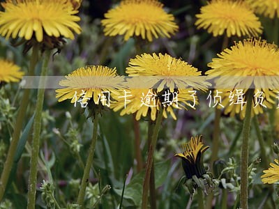 信用卡逾期了侦缉负责不