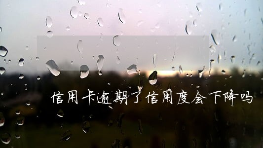 信用卡逾期了信用度会下降吗