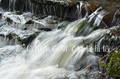 信用卡逾期了修复征信