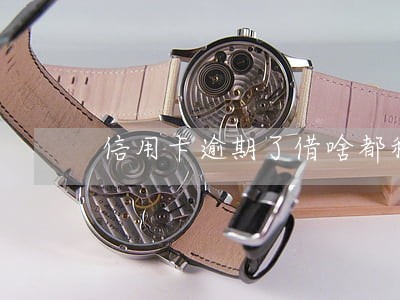 信用卡逾期了借啥都秒拒 信用卡逾期了借啥都秒拒