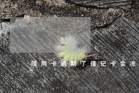 信用卡逾期了借记卡会冻结吗 信用卡逾期了借记卡会冻结吗