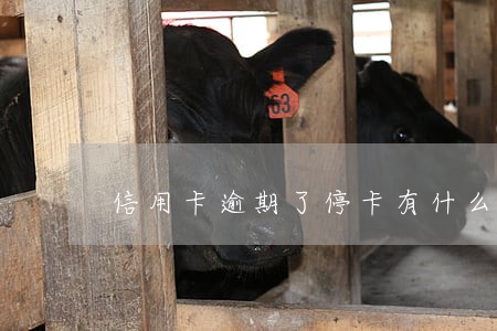 信用卡逾期了停卡有什么后果 信用卡逾期了停卡有什么后果