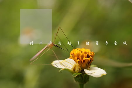 信用卡逾期了储蓄卡会被扣吗 信用卡逾期了储蓄卡会被扣吗