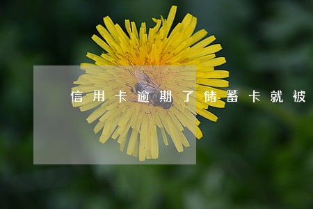 信用卡逾期了储蓄卡就被冻结了吗 信用卡逾期了储蓄卡就被冻结了吗