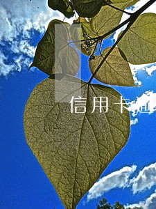 信用卡逾期了储蓄卡能正常使用吗 信用卡逾期了储蓄卡能正常使用吗