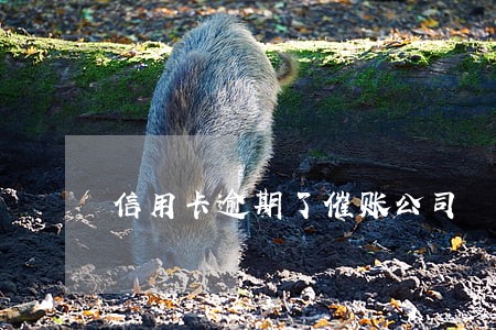 信用卡逾期了催账公司 信用卡逾期了催账公司
