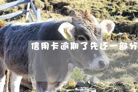 信用卡逾期了先还一部分可以吗