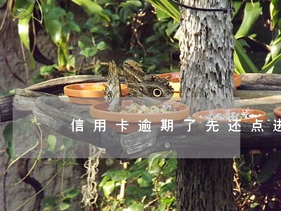 信用卡逾期了先还点进去行吗