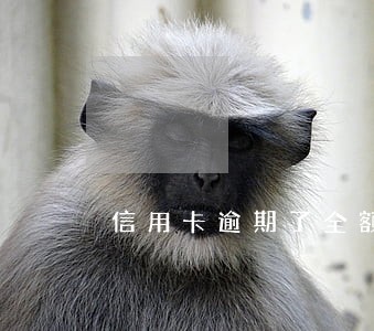 信用卡逾期了全额还清 信用卡逾期了全额还清