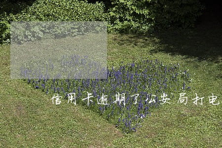 信用卡逾期了公安局打电话怎么办 信用卡逾期了公安局打电话怎么办