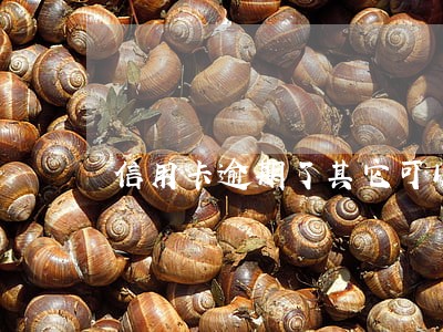 信用卡逾期了其它可以货款吗 信用卡逾期了其它可以货款吗