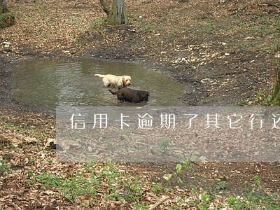 信用卡逾期了其它行还可以办吗 信用卡逾期了其它行还可以办吗