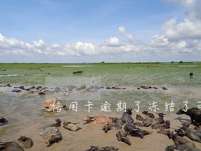 信用卡逾期了冻结了可以恢复嘛 信用卡逾期了冻结了可以恢复嘛