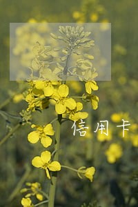 信用卡逾期了冻结了还清会解冻吗