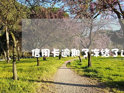信用卡逾期了冻结了还能解冻吗 信用卡逾期了冻结了还能解冻吗