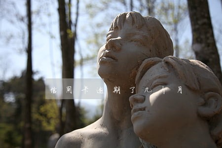 信用卡逾期了几个月 信用卡逾期了几个月