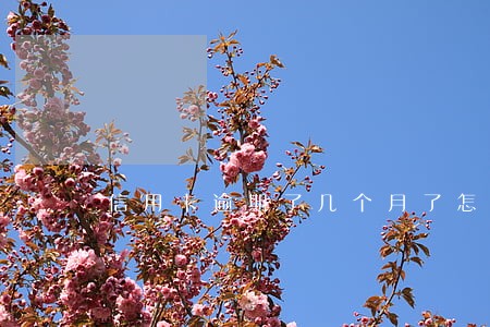 信用卡逾期了几个月了怎么办