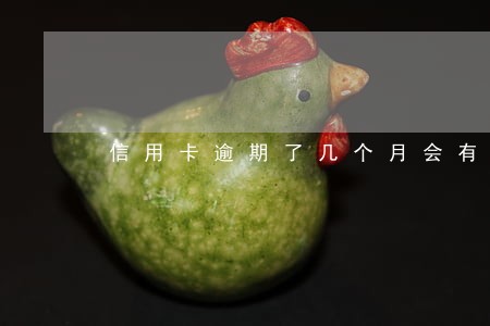 信用卡逾期了几个月会有什么问题 信用卡逾期了几个月会有什么问题