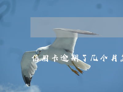 信用卡逾期了几个月怎样分期 信用卡逾期了几个月怎样分期