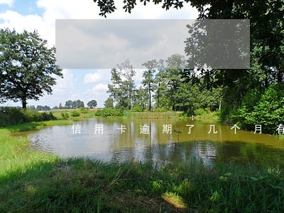 信用卡逾期了几个月有什么后果 信用卡逾期了几个月有什么后果