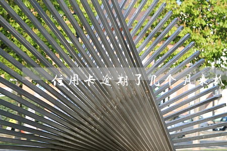 信用卡逾期了几个月来抓人
