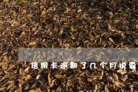 信用卡逾期了几个月说要上门 信用卡逾期了几个月说要上门