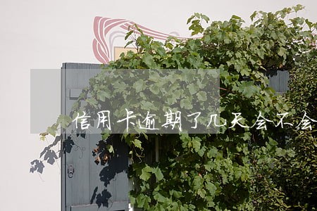 信用卡逾期了几天会不会有影响