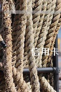 信用卡逾期了几天影响信用吗