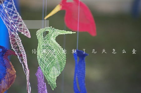 信用卡逾期了几天怎么查 信用卡逾期了几天怎么查