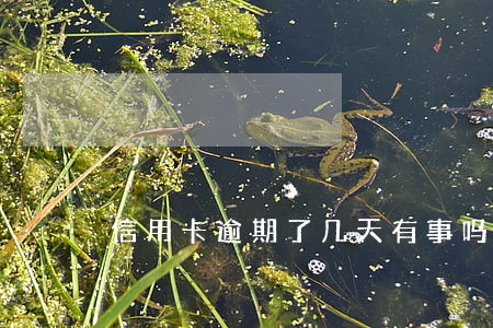 信用卡逾期了几天有事吗 信用卡逾期了几天有事吗