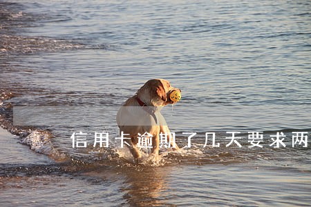 信用卡逾期了几天要求两期一起还 信用卡逾期了几天要求两期一起还