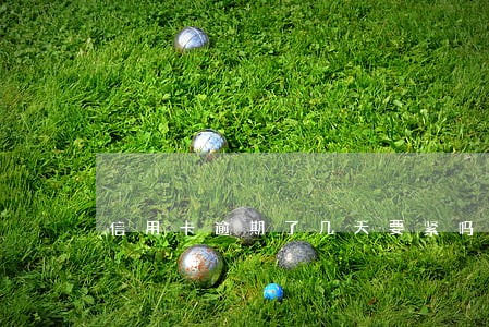 信用卡逾期了几天要紧吗 信用卡逾期了几天要紧吗
